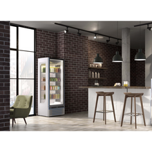 Charger l'image dans la galerie, Armoire à boissons, vitrine réfrigérée, vitrine de congélation, congélateur vitré, frigo à boissons, frigo, congel, congélateur, armoire de congélation