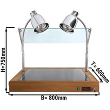 Load image into Gallery viewer, Chauffe-snack / Plaque de retenue chauffante avec 2 lampes chauffantes