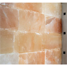 Load image into Gallery viewer, Cave de maturation à viande - 0,92 m - avec 2 portes vitrées - noire