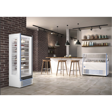 Charger l&#39;image dans la galerie, Armoire à boissons, vitrine réfrigérée, vitrine de congélation, congélateur vitré, frigo à boissons, frigo, congel, congélateur, armoire de congélation
